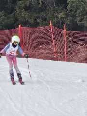 WhatsApp-Image-2026-02-08-at-15.11.52