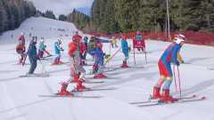 WhatsApp-Image-2026-02-08-at-16.52.24