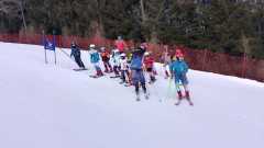 WhatsApp-Image-2026-02-08-at-16.52.27-1