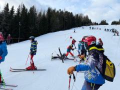 WhatsApp-Image-2026-02-08-at-19.13.40