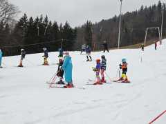 WhatsApp-Image-2026-02-14-at-18.57.20