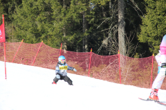 IMG_6297c